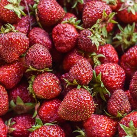 Asi dvě procenta dětí také podle průzkumu nikdy netrhala jahody.