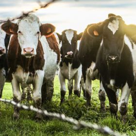 Dojení krav? Pro děti science fiction.