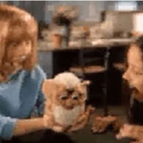 Hračka reaguje na světlo, zvuk, polohu, doteky a přítomnost dalších Furby.