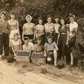 Společn aktivita byla důležitá