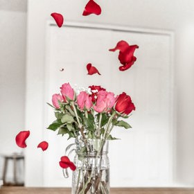 Květiny vám pozvednou náladu.