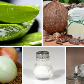 Na webu Pleva si můžete zakoupit spoustu přírodních produktů z propolisu.