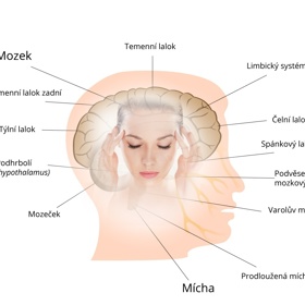 Obsedantně kompulzivní porucha.