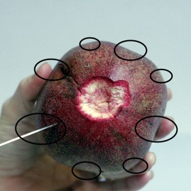 Jak načít kokos a nakrájet cibuli bez plakání? 7 tipů, jak porcovat ovoce a zeleninu jako šéfkuchař