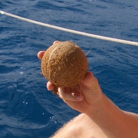 Jak načít kokos a nakrájet cibuli bez plakání? 7 tipů, jak porcovat ovoce a zeleninu jako šéfkuchař