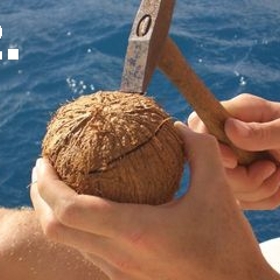 Jak načít kokos a nakrájet cibuli bez plakání? 7 tipů, jak porcovat ovoce a zeleninu jako šéfkuchař