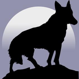 Vlk a měsíc k sobě patří