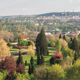 Krásný pohled na rostliny uvnitř zahrady.