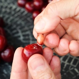 Jak načít kokos a nakrájet cibuli bez plakání? 7 tipů, jak porcovat ovoce a zeleninu jako šéfkuchař