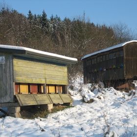 Včelí úly v zimě