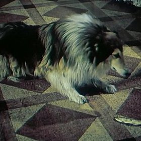 Slaneček je na obou záběrech na jiné straně