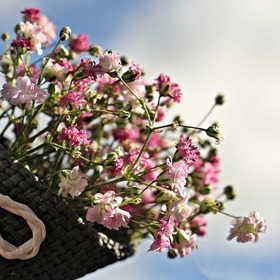 Květina je povinností.