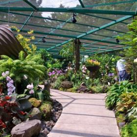 Singapore Botanic Gardens nabízí nefalšovanou atmosféru tropů. Mimo jiné zde naleznete pozoruhodnou sbírku barevných bromélií.
