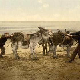 Majestátní a působivě elegantní. Podívejte se na první barevné fotky Anglie