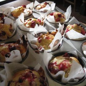 Brusinkové muffiny s pekanovými ořechy.