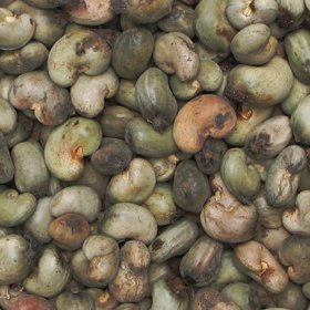 1. Ani celá semena ale nejíme. Jejich slupka je totiž jedovatá, proto se loupají, než se dostanou na pulty obchodů.