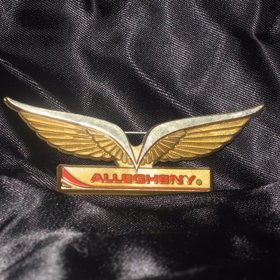 Odznaky pro děti (nabízí například Delta nebo American Airlines).