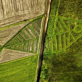Hranice mezi Polskem a Ukrajinou. Autorem obří ryby je polský umělec Jarosław Koziara.