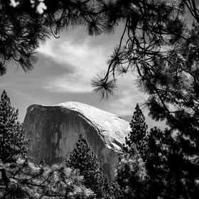 10 úchvatných černobílých snímků severoamerické divočiny