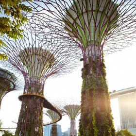 Prohlédněte si „superstromy“ v Singapuru.