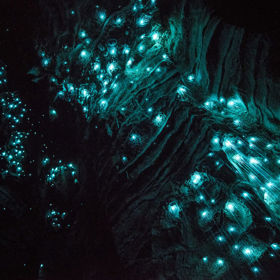 Odhalte tajemství jeskyně, ve které v noci září podivná pohyblivá světla