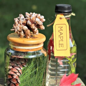 Nechte vyrůst strom ve sklenici...