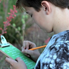 ... nakreslete dětem pár obrázků toho, co by měly najít v lese (hmyz, květiny, listy...) a vyšlete je na „lov“...