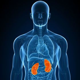 4. Potíže s ledvinami.