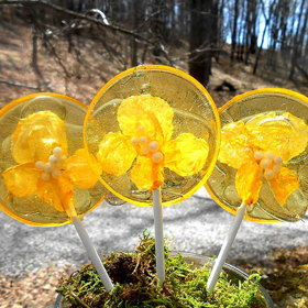 Tohle lízátko můžete sníst i s květinou!