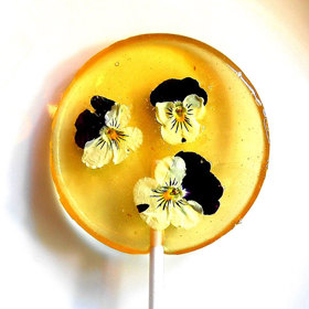 Tato průsvitná lízátka s jedlými květy jsou to nejkrásnější, co jsme dnes na internetu viděli