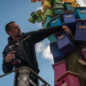 Dán vyrobil přes 3 500 ptačích budek za 7 let. Co ho k tomu vedlo?