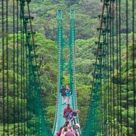 Zcela zanedbatelný byl příspěvek solárních elektráren (0,01 %).