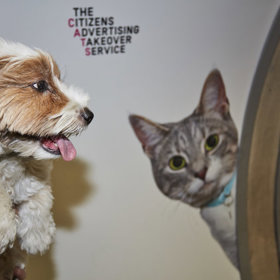 „Psům vstup zakázán!“