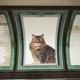 Strážce tunelu metra.