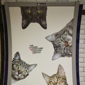 Členové skupiny známé jako C.A.T.S. strhli komerční plakáty ve vestibulu londýnského metra Clapham Common.