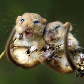 Společně si užijete i ty nejmenší věci.