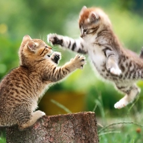 Můžete se pořád dohadovat, ale naučíte se odpouštět a prohlubovat vzájemné porozumění.