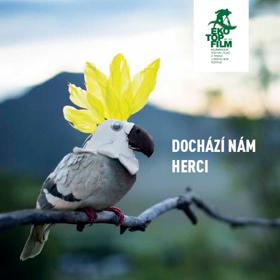 Přijďte na festival, dokud je na co se dívat! Tak volá o pomoc Ekotopfilm, nejstarší mezinárodní festival dokumentárních filmů s environmentální tematikou, který se mimo jiné zaměří na problematiku hubení zvířat.