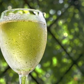 ...chladit bílé víno (dejte lahev do kbelíku s ledem, vodou a hrstí soli)...