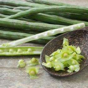 Tato rostlina obsahuje hned několik látek, které dokážou likvidovat rakovinné buňky.