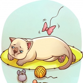 Nevysvětlitelná letargie (může značit například problémy se srdcem).