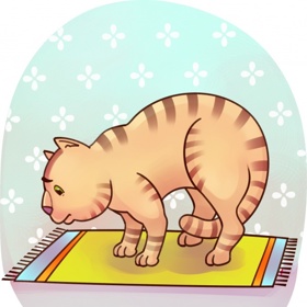 Nepřirozené držení těla (může značit například to, že zvíře trpí ledvinovými kameny).