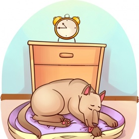 Neustálé olizování jednoho místa.