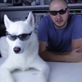 Psi si za svou věrnost zaslouží jen to nejlepší.