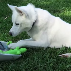 Nebo nějaké originální hračky.