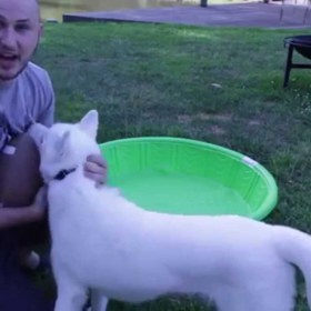 Uvidíte, že mu to udělá velkou radost!