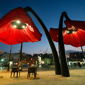 V Jeruzalémě rozkvétají vlčí máky před očima. Poskytují světlo i stín