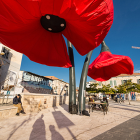 V Jeruzalémě rozkvétají vlčí máky před očima. Poskytují světlo i stín