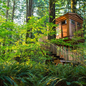 2. TreeHouse Point, Issaquah, Washington. Pokud se ubytujete v jednom z hotelů tohoto komplexu, nikdo o vás nemusí vědět. Vždyť i pouhou návštěvu musíte ohlásit předem! „Abychom chránili soukromí našich hostů a ujistili je, že naplánované události proběhnou nerušeně, návštěvy hotelů umožňujme pouze po předchozí schůzce,“ uvádí webové stránky podniku.