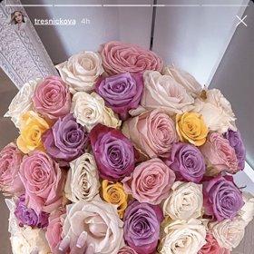 Jsou to nádherné růže.